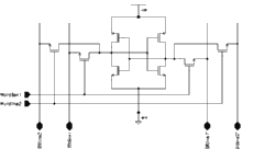 Figure showing DP cell