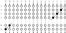 Figure showing PPA-RCA